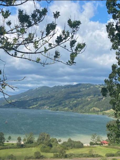 Fewo Alpenwiese Mit Hallenbad&Sauna Missen Wilhams Bagian luar foto