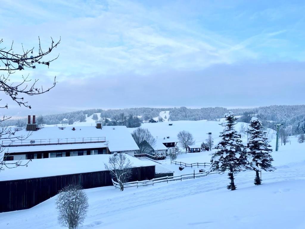 Fewo Alpenwiese Mit Hallenbad&Sauna Missen Wilhams Bagian luar foto