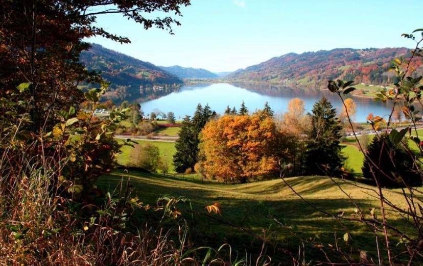 Fewo Alpenwiese Mit Hallenbad&Sauna Missen Wilhams Bagian luar foto